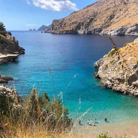 Villa Il Sogno Di Zia Ada Massa Lubrense Exteriör bild